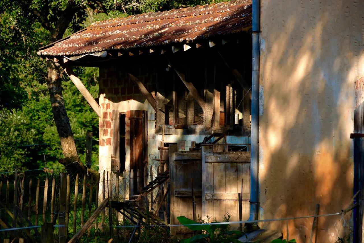 Souslens, Castaignos-Souslens 40 Bed & Breakfast Bagian luar foto