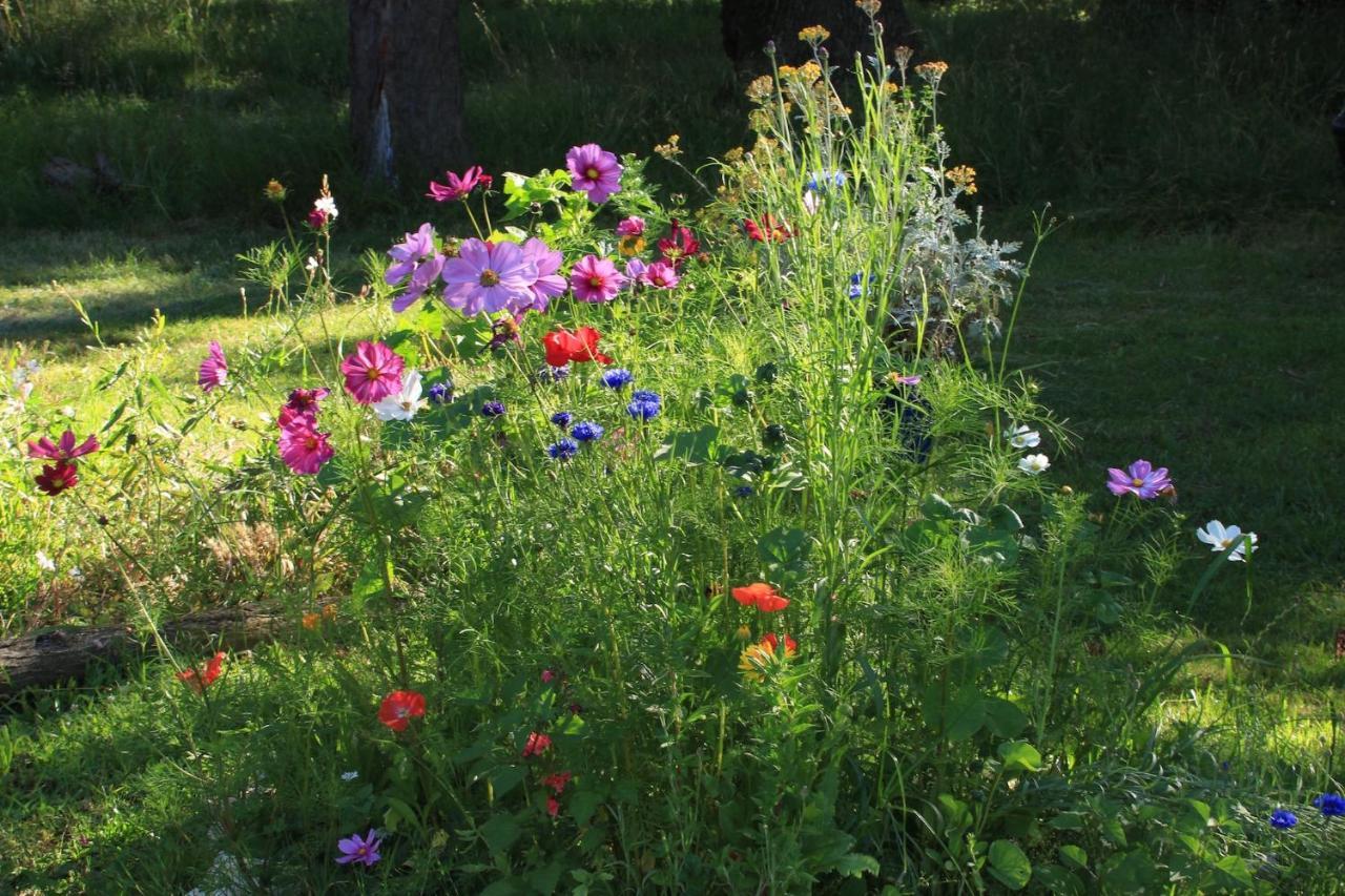 Souslens, Castaignos-Souslens 40 Bed & Breakfast Bagian luar foto