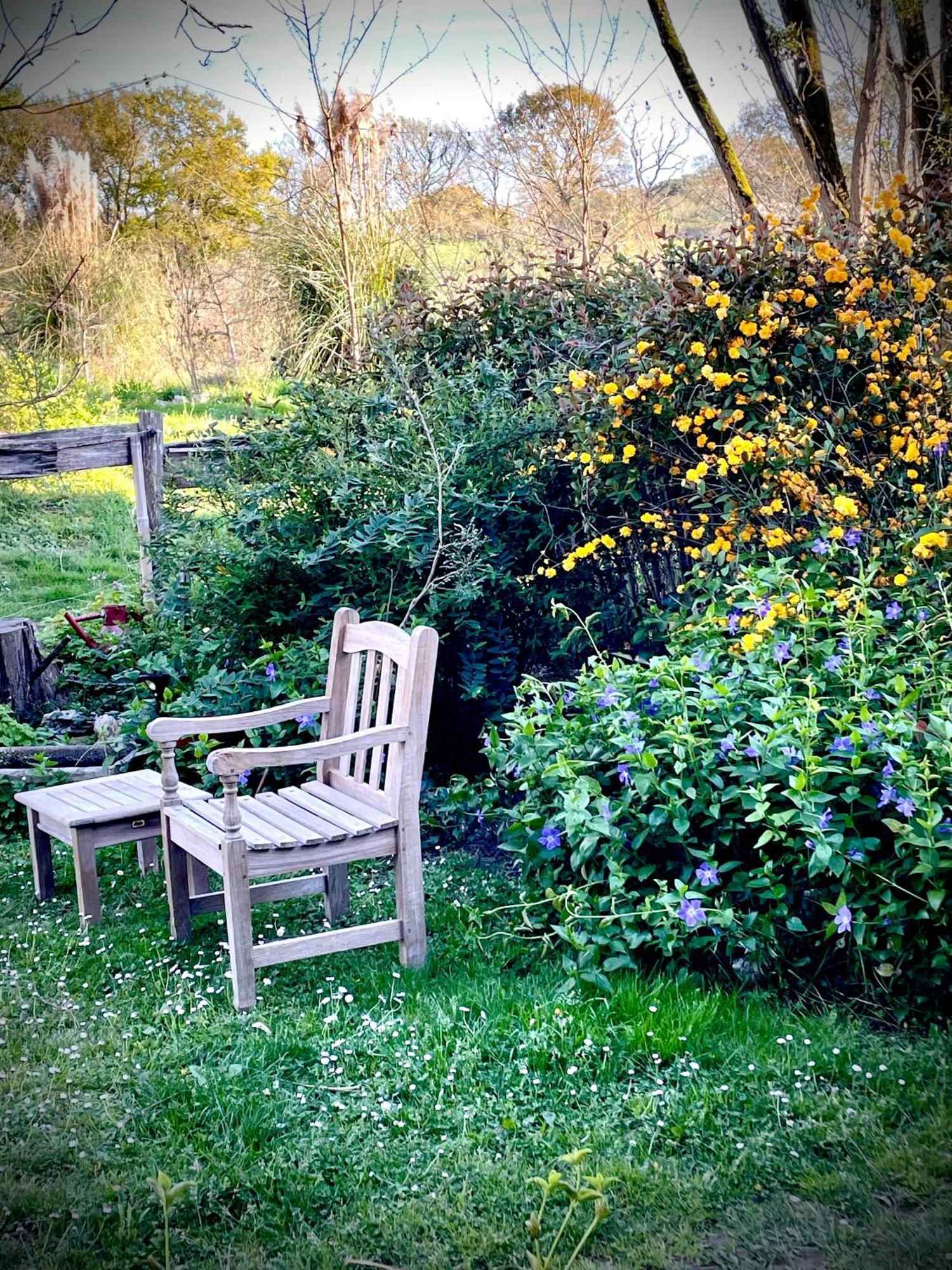 Souslens, Castaignos-Souslens 40 Bed & Breakfast Bagian luar foto